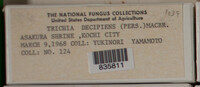 Image Associated With the Occurence